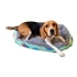 Cucha Cama Colchón Perro Mascota Gato 61 X 40 Rectangular Variante Peces