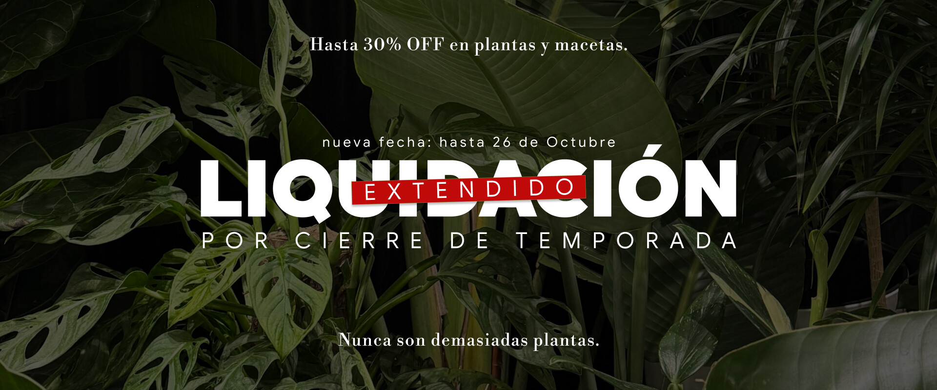 HomeSlider - DESCUENTO FIN DE SEMANA