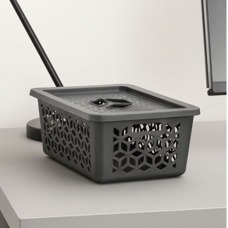 Caja organizadora con tapa M 5L GRIS