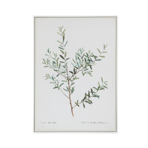 CUADRO DIS PLANTA C/FRUTA VERDE Unica