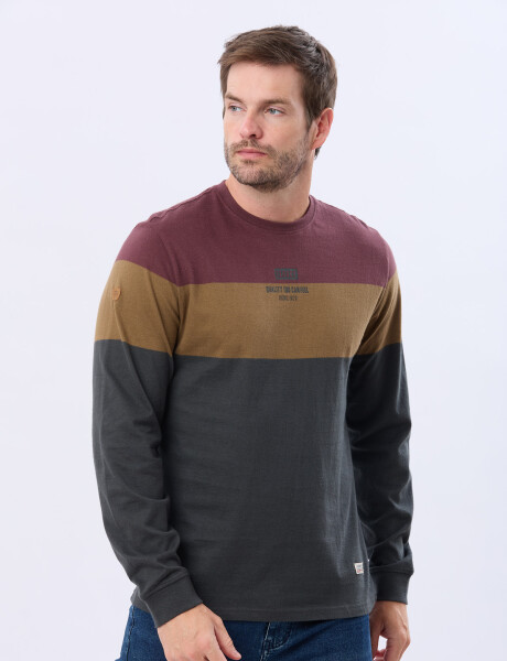 REMERA RAYADA CON ESTAMPA Gris