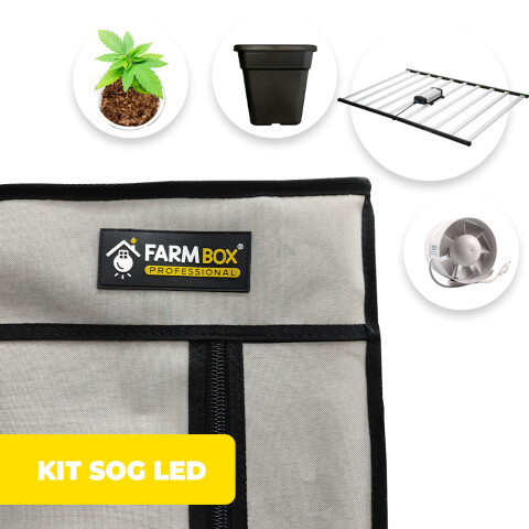 KIT INDOOR SOG LED PROFESSIONAL 240X240X200CM