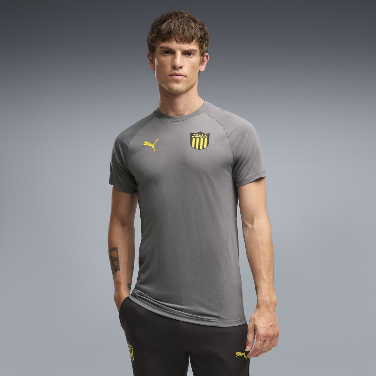 CAP Tee 78653305 - Gris 