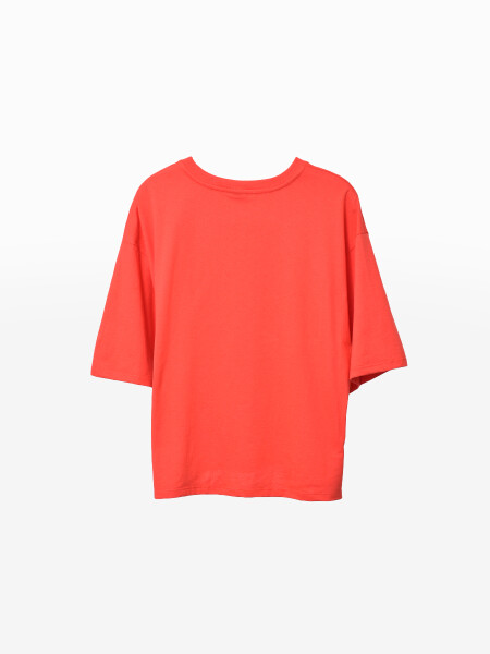 REMERA BAMBI IN BOX LADRILLO