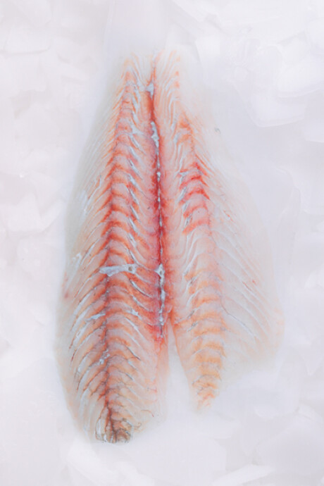 Filete de Lenguado 500g