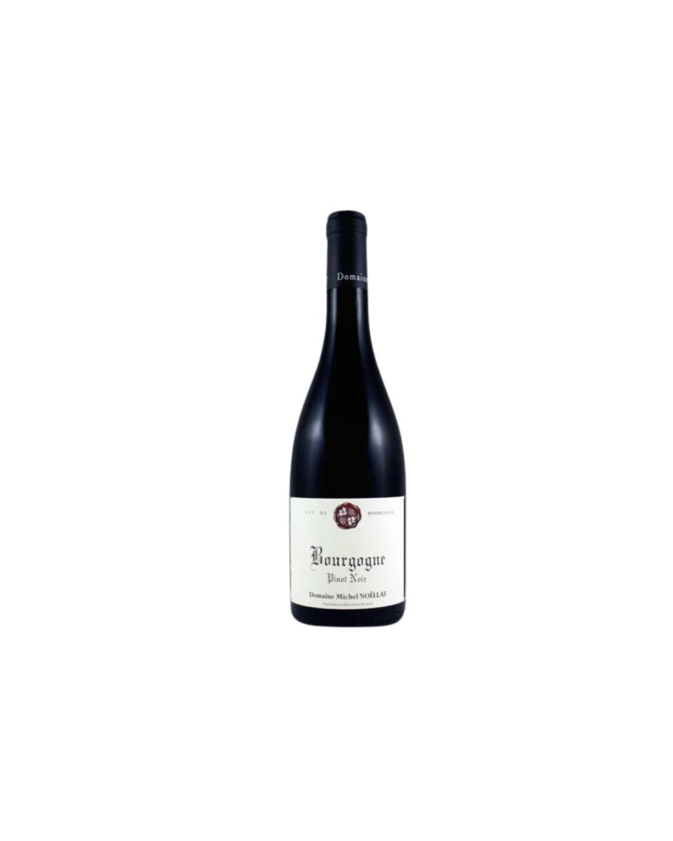 Bourgogne Pinot Noir 