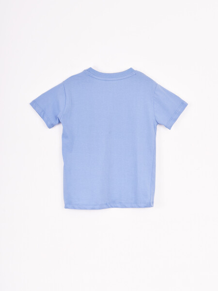 REMERA IÑAQUI PALMS AZUL CLARO