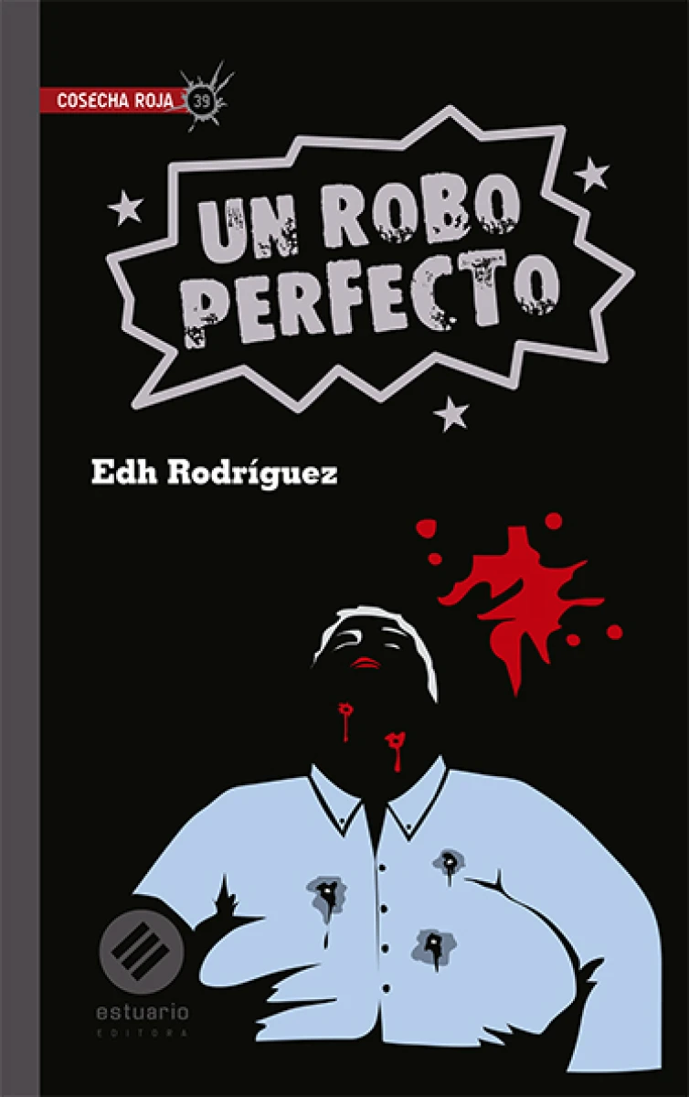 Un robo perfecto 