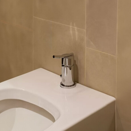 GRIFERIA DE BIDET MONOCOMANDO CROMO FV 000