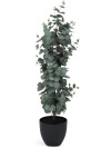 Planta artificial RIPA Al90cm eucalyptus Planta artificial RIPA Al90cm eucalyptus