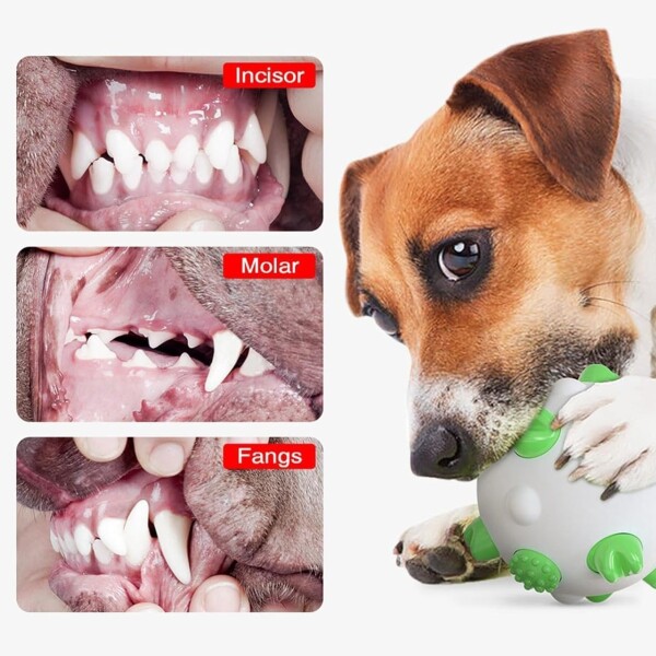 Pelota Juguete Perros Molar Macizo Limpia Dientes Resistente Color Variante Blanco Verde