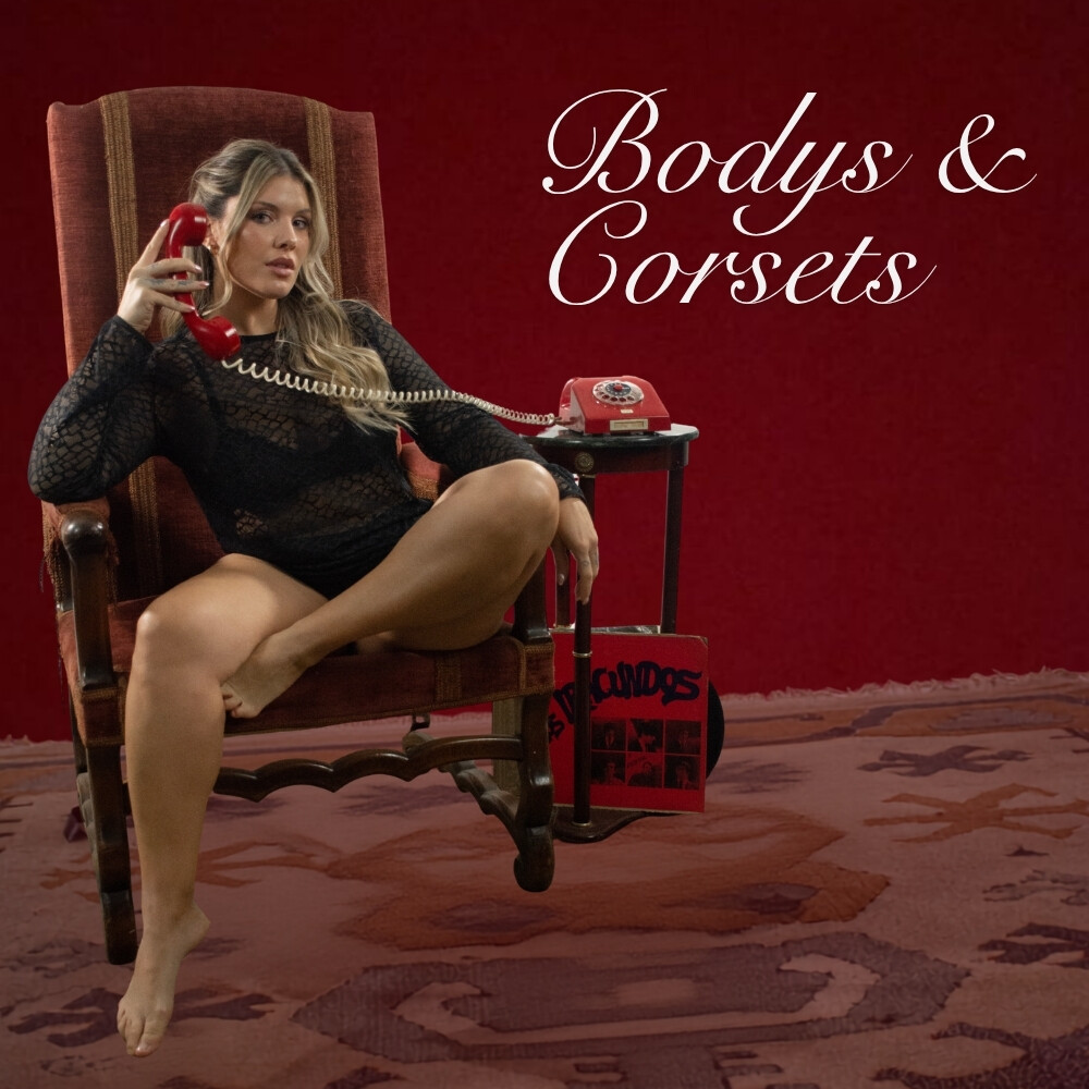Nostalgia Bodys Corsets 26