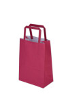 Bolsa lisa acuario 14x08x20 cm FUCSIA