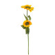 Ramo de Girasol x2 Ramo de Girasol x2