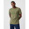 V-EVERYDAY SOFT BASIC LOGO T WALDEN GREEN