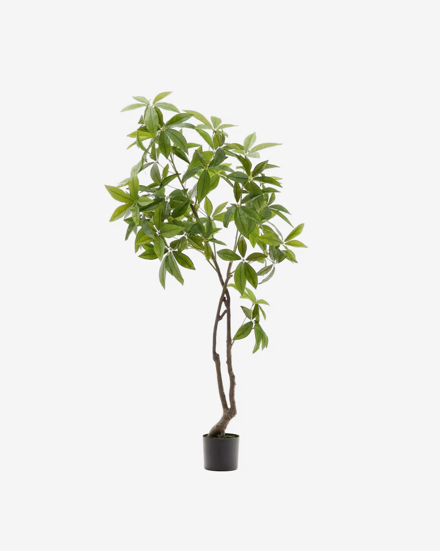 Árbol artificial Pachira con maceta negra 180 cm Árbol artificial Pachira con maceta negra 180 cm