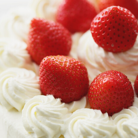 Sifón cremera Sifón cremera