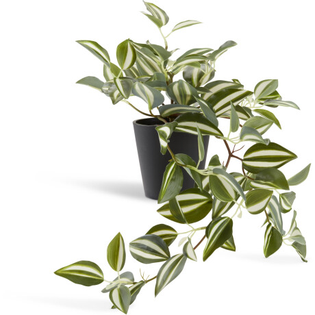 Planta Artificial Asgar A24Cm Verde