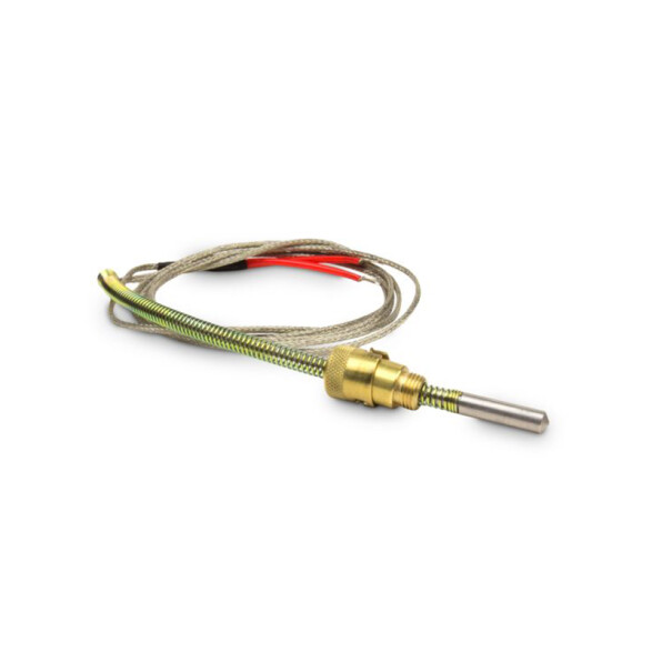 Sensor de temperatura PT100 de 2 hilos CL2810