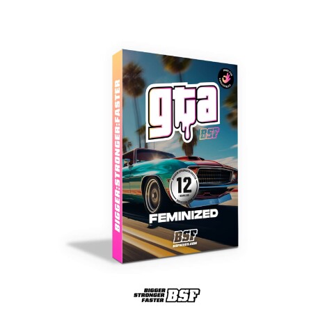 FEM - GTA X4 UNIDADES