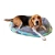 Cucha Cama Colchón Perro Mascota Gato 61 X 40 Rectangular Variante Peces