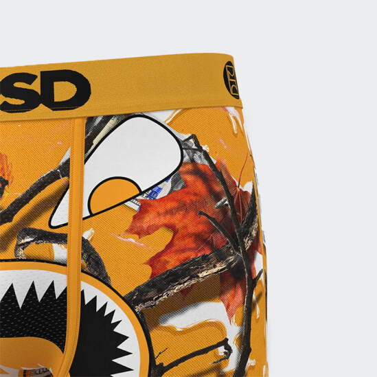 Calzoncillos PSD WF Pumpkin Spice Multicolor