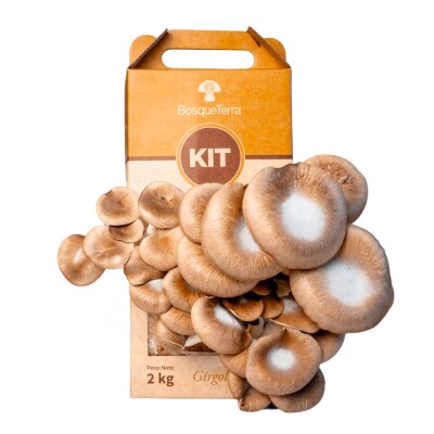 Kit autocultivo negro Bosqueterra Kit Autocultivo Negro Bosquete