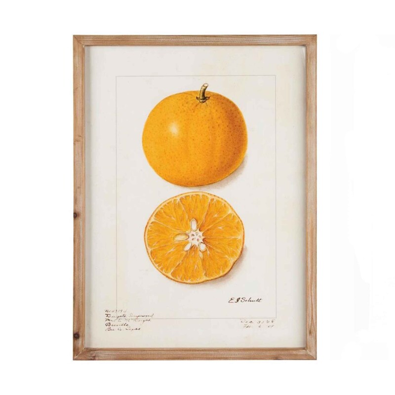 Cuadro Citric Orange