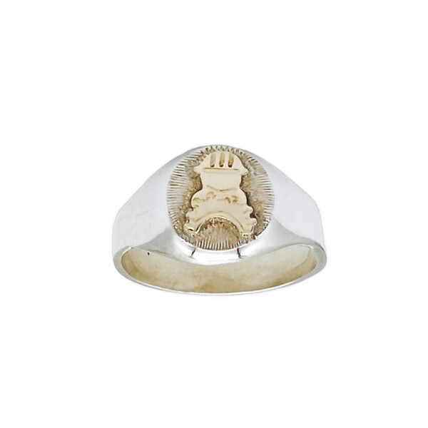 Anillo Profesión Constructor-Plata y Oro-Sin Piedra-AP5012 Sinpiedra
