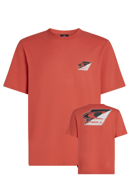 Remera O'Neill Emblem Remera O'Neill Emblem