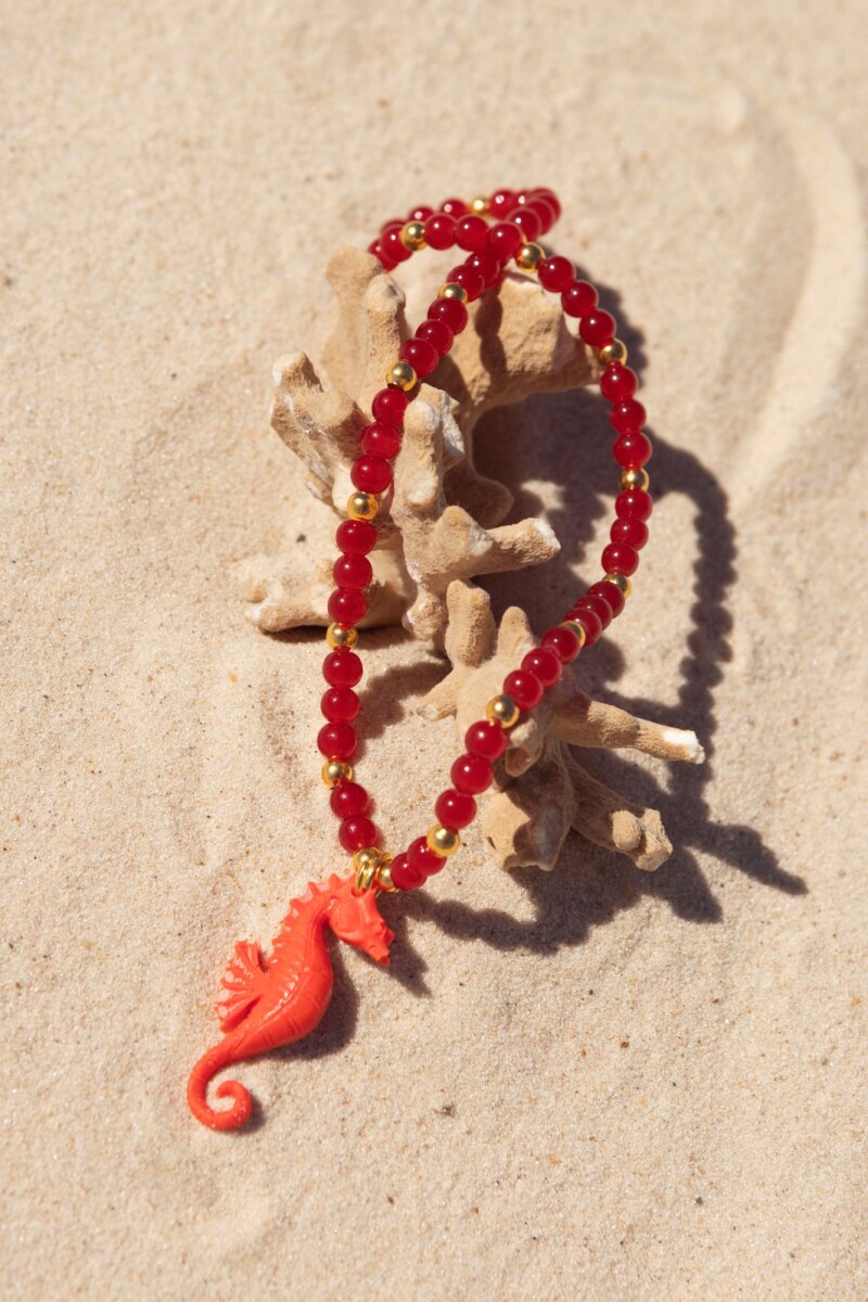 Collar Caballito 