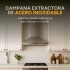 Campana De Cocina Extractor Goldtech 60cm Inoxidable Luz Variante Color Plateado