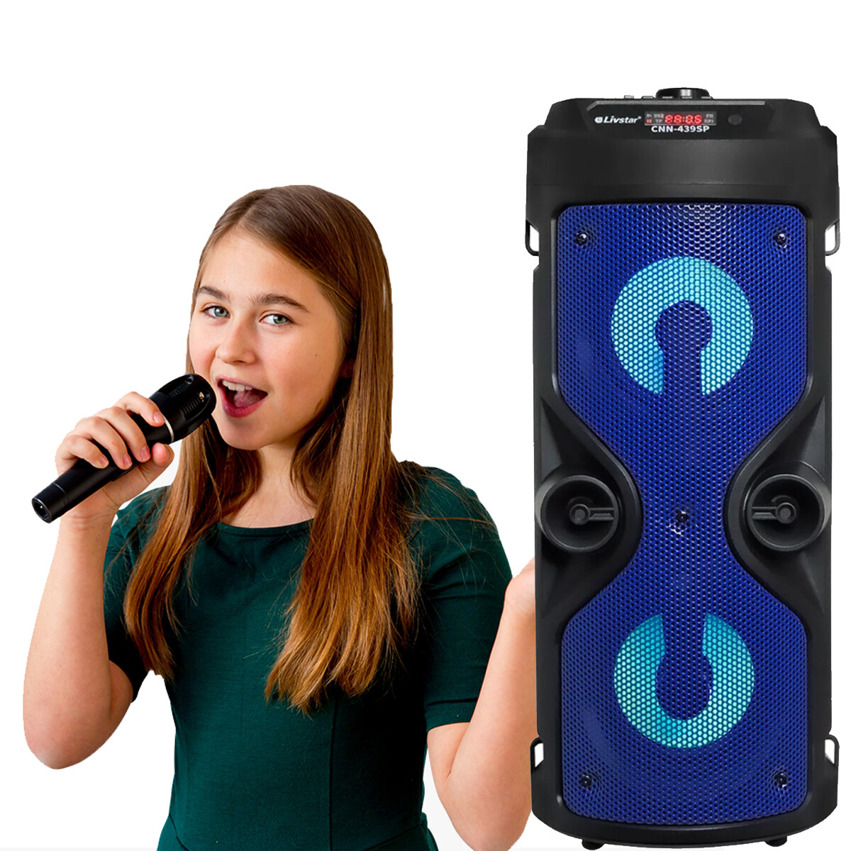 Parlante Grande Con Microfono Y Control Remoto 