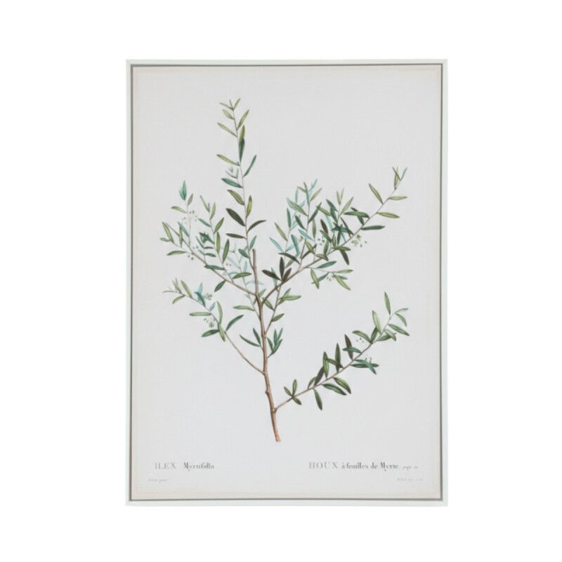 CUADRO DIS PLANTA C/FRUTA VERDE Unica