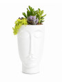 MACETA FACE HOMBRE CON SUCULENTAS BLANCO