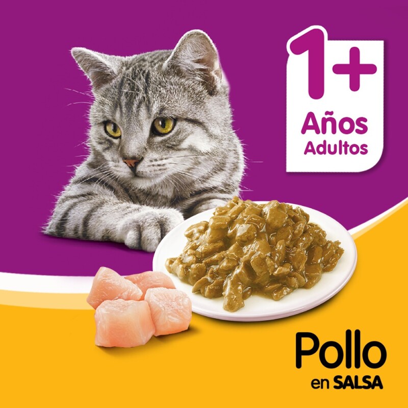 WHISKAS EN SALSA POLLO ALIMENTO HUMEDO 85 GR
