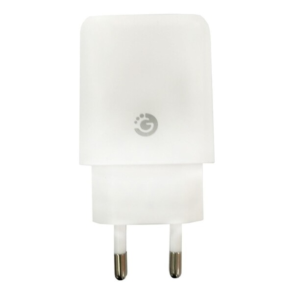 Cargador De Pared Doble Usb Ficha 2.4a 220v Goldtech Color Variante Blanco