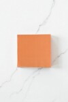 Servilleta 16x16 cm. paquete x 20 SALMON