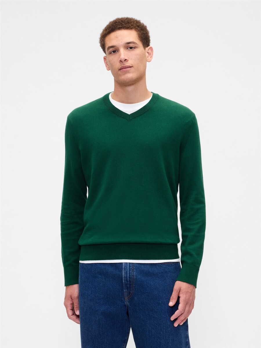 Buzo Algodón Cuello V Hombre - Evergreen Glamour 