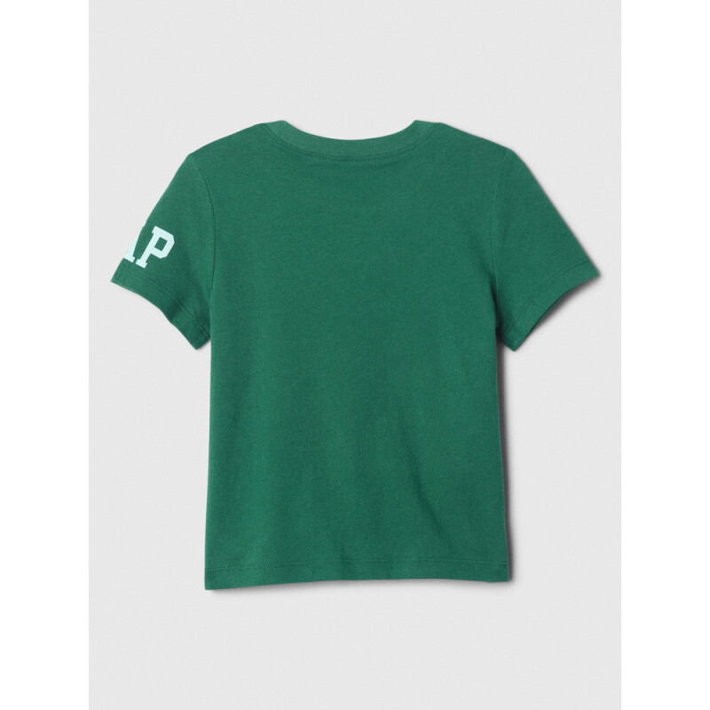 V-DIS LIC LOGO TEE BALSAM TREE