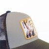 Gorro CapsLab Dragon Ball Z Multicolor