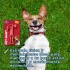 MARTILLO GOMA PET INJET PLAY MARTILLO GOMA PET INJET PLAY