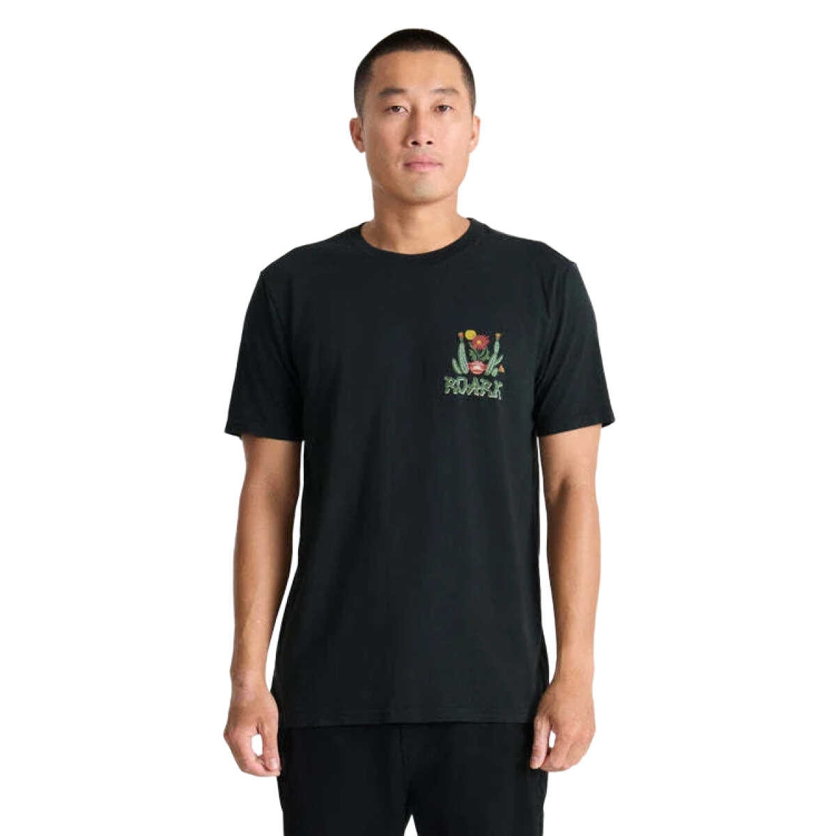 Remera Roark Cactus Garden - Negro 