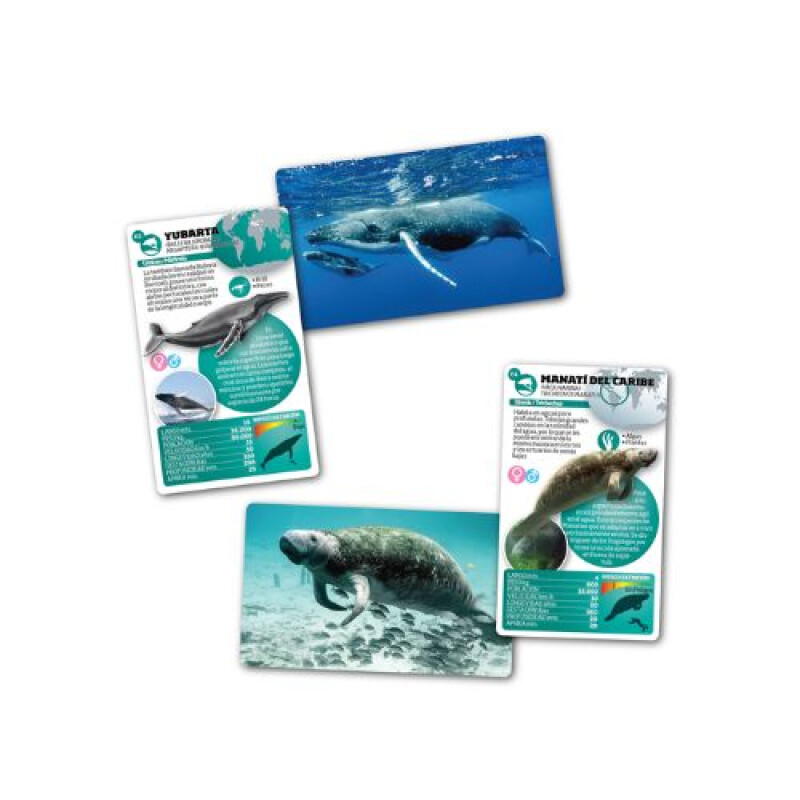 Luminias Enciclopedia De Animales - Mamíferos Marinos Luminias Enciclopedia De Animales - Mamíferos Marinos