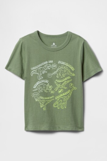 Remera Gràfico Toddler Niño Twig