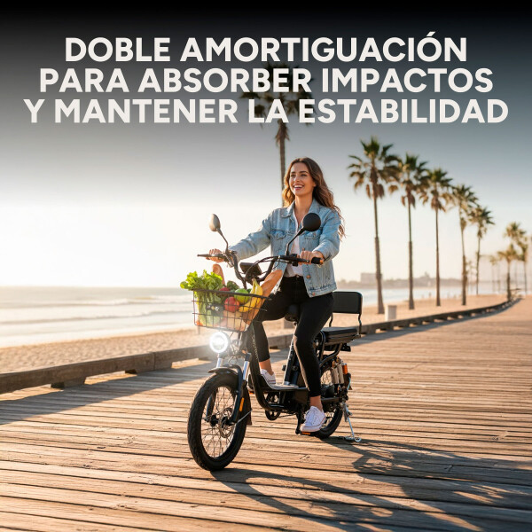 Bicicleta Electrica GoGreen Delivery R20 350w Bateria 26Ah Color Negro