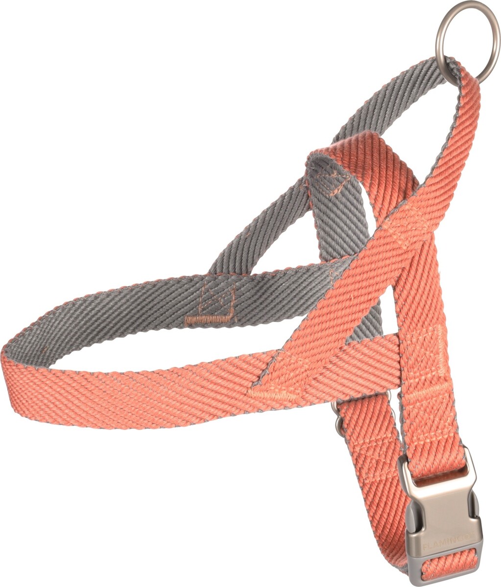 PERRO ARNES NOORS ELLY SALMON ROSADO S 38CM 43-55CM 20MM 
