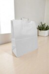 Bolsa lisa acuario 34x17x39 cm BLANCO