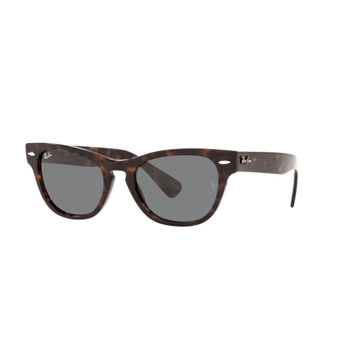 Ray Ban Rb2201 Laramie - 902/b1 