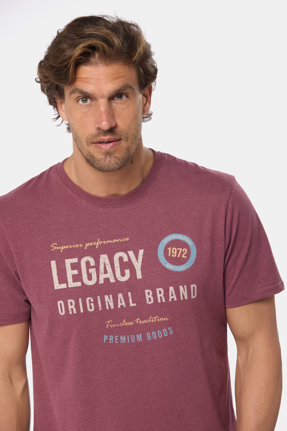 REMERA ESTAMPADA Bordo